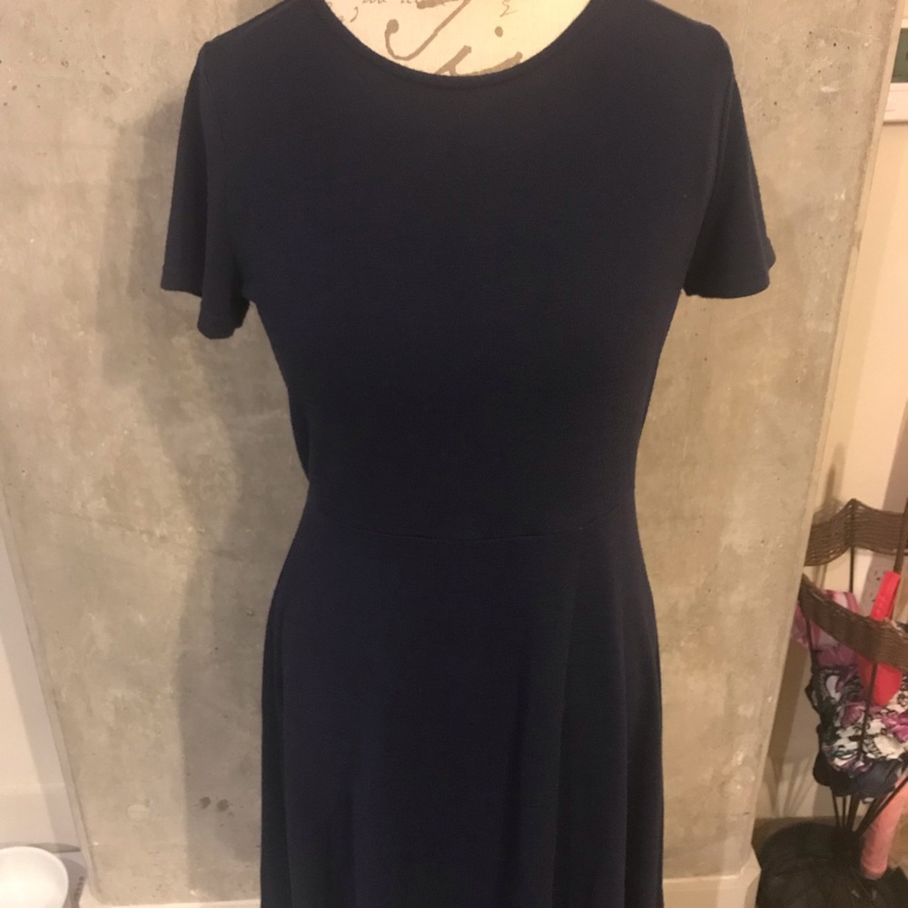Blue Gap dress Gap Skater Dress